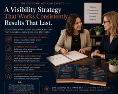 Is My Visibility Repeatable or Am I Reinventing the Wheel?™ Complete Professional Set | Consultant-Grade PLR | Commercial Use image 4
