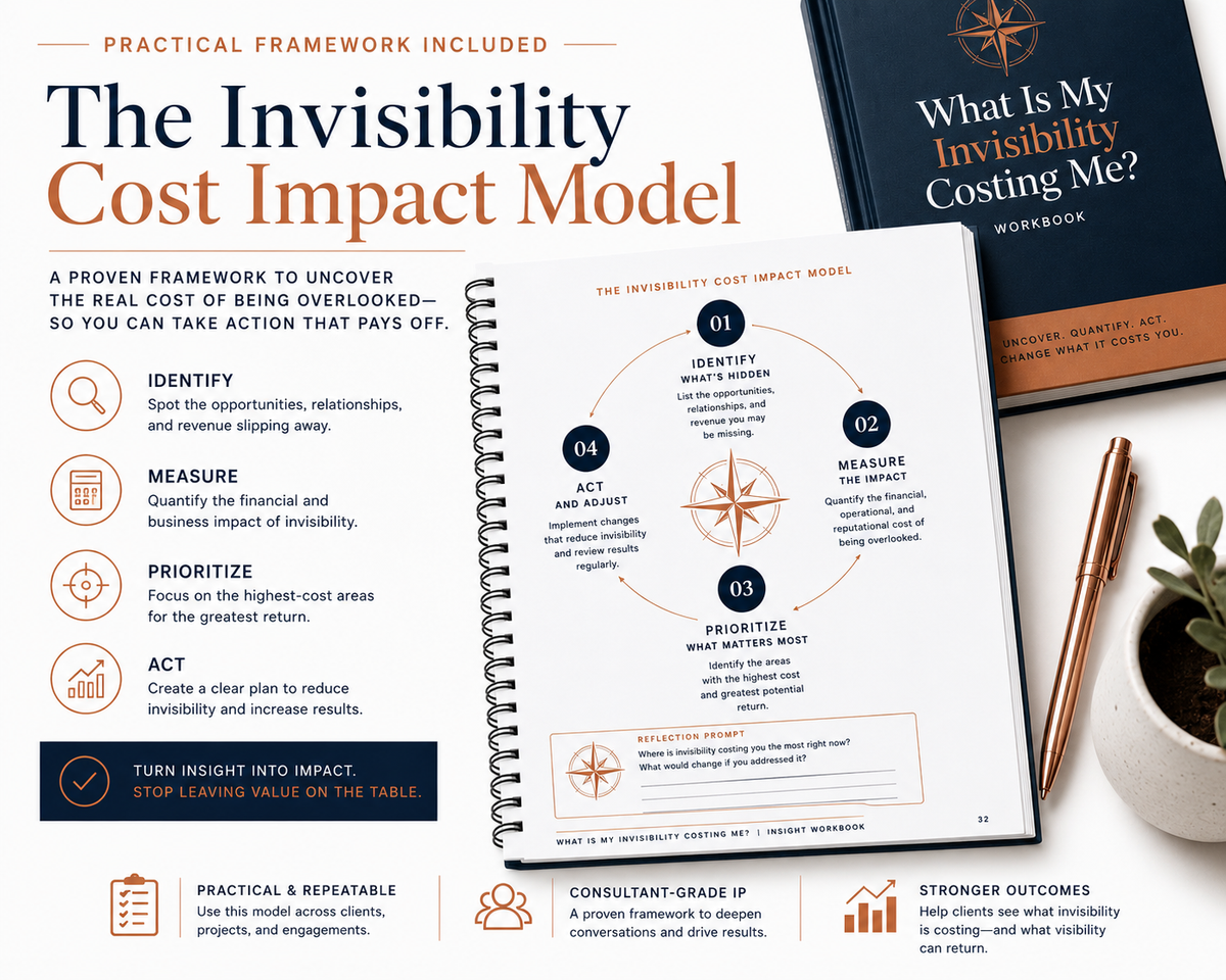 What Is My Invisibility Costing Me?™ Complete Professional Set | Consultant-Grade PLR | Commercial Use image 2